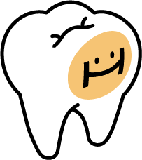 歯のイラスト