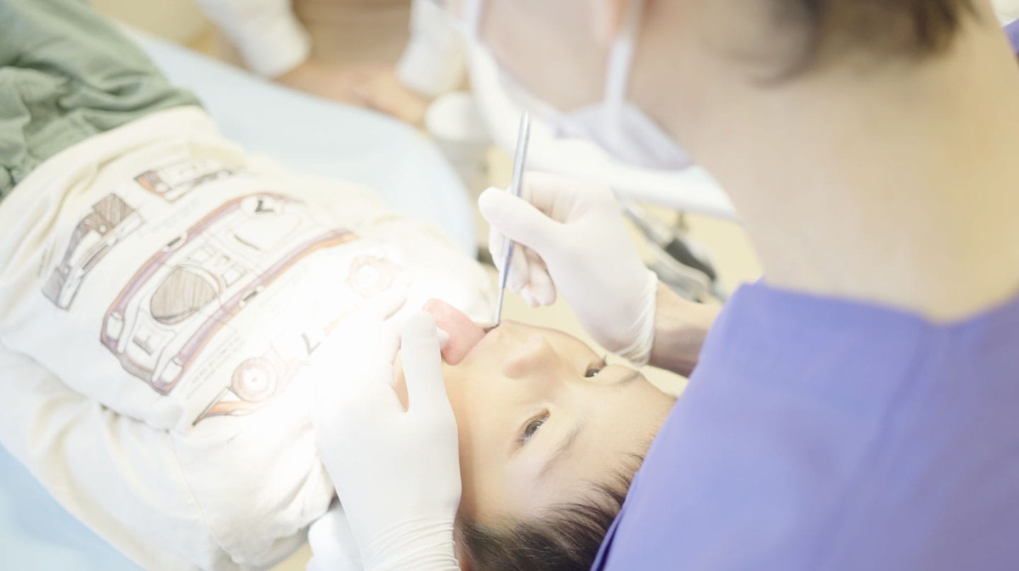 動画を再生する