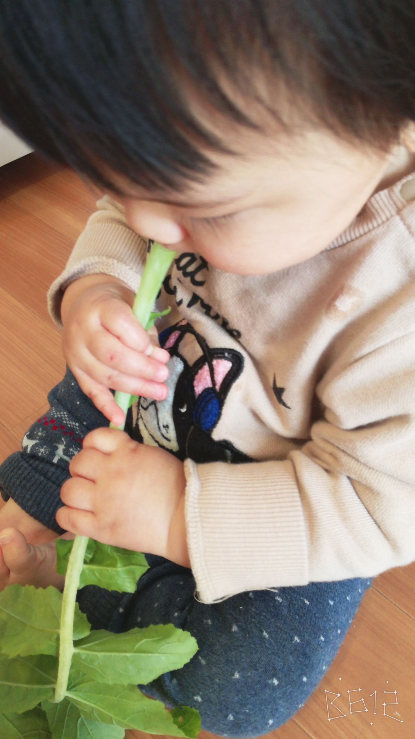 アイキャッチ画像