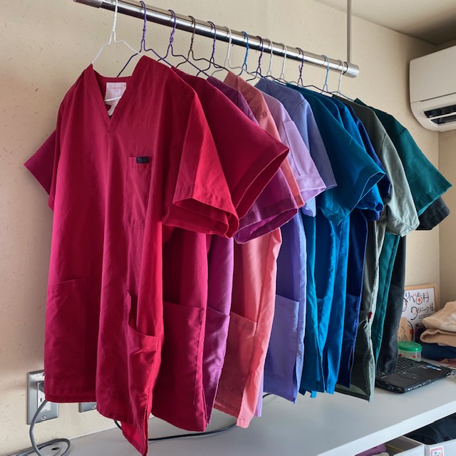 アイキャッチ画像