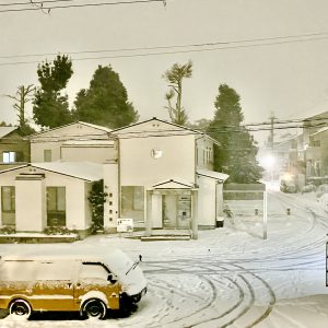 アイキャッチ画像