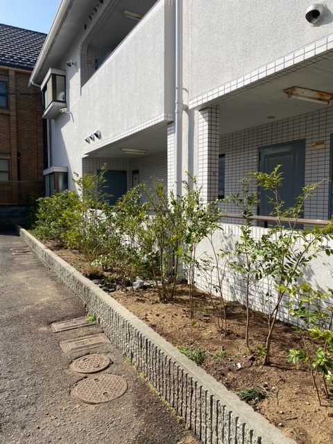 アイキャッチ画像